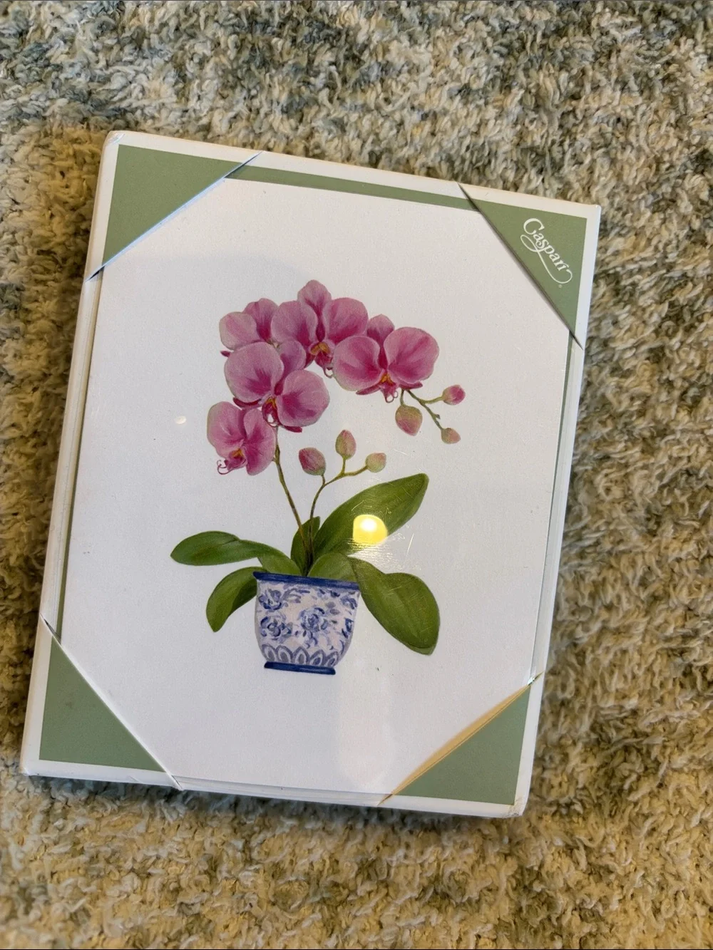 Caspari Pink Tropical Orchid in Blue Porcelain Pot Note Cards Set of 10 NWT